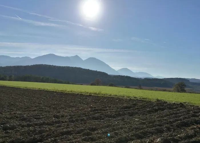 Landgasthof Piroutz Отель типа 